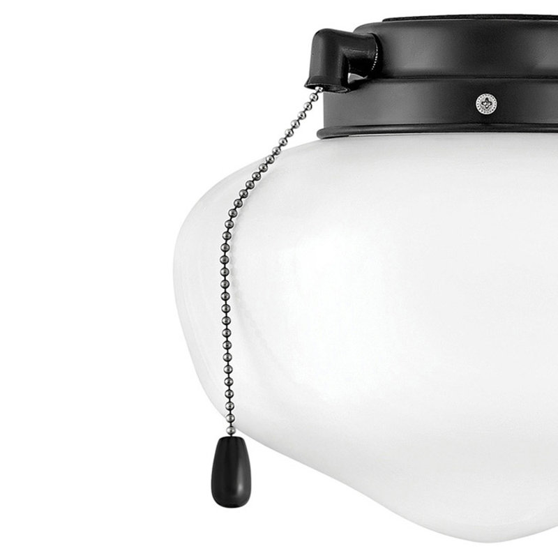 Ceiling Fan Light Kit, Matte Black