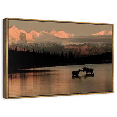 Courting Moose In Wonder Lake