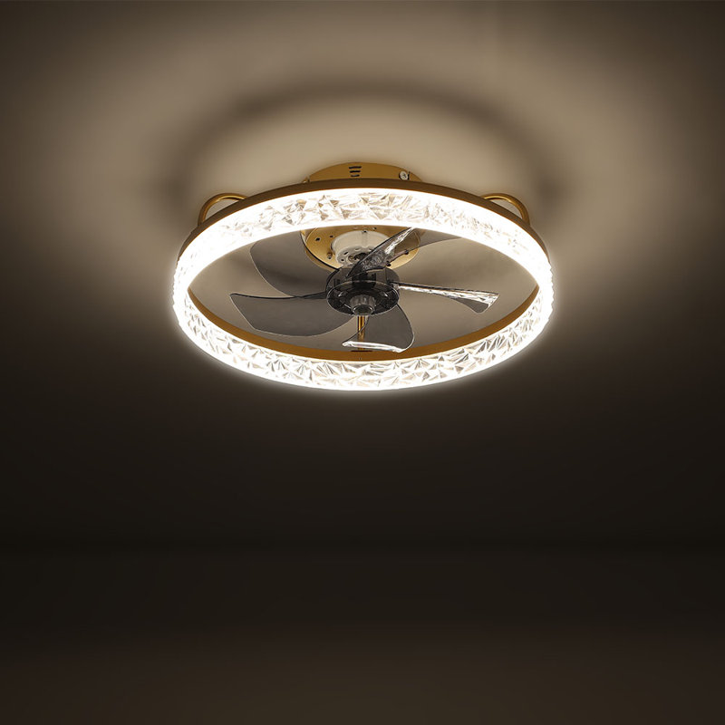 Ceiling Fan with LED Lights