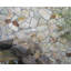 Sydney Glow 18 in. x 26 in. x 1.25 in. Quartzite Mesh-Backed Flagstone Paver (203.5 sq. ft./unit, 74 Pieces)