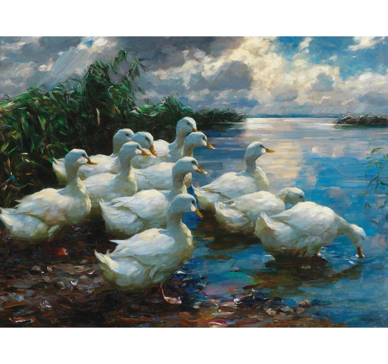 «Enten am See [Ducks by a Lake]» par Alexander Koester - Art mural sur toile tendue avec châssis, H 33 po x l 48 po
