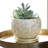 Handmade Ceramic Pot Planter