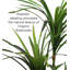 Doublure de pot en yucca artificiel-1739189462