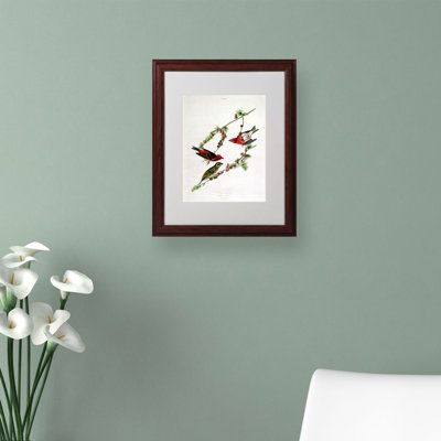 « purple finch » par john james audubon, reproduction d’art encadrée