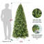 Sapin de Noël pin non éclairé-508809630