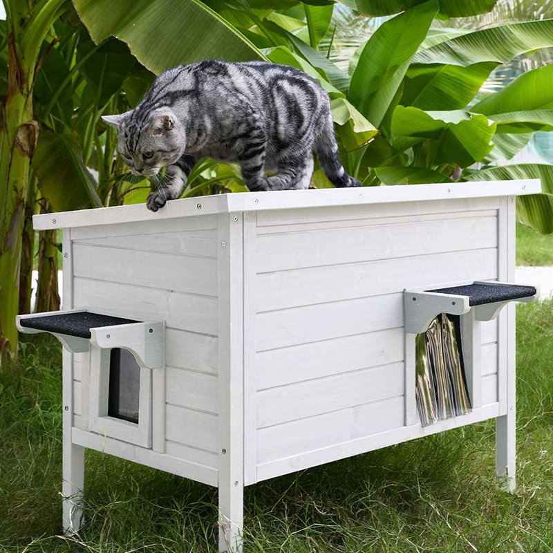 Maison pour chat d'extérieur en bois massif chauffé avec coussin chauffant, Blanc