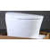 One Piece Smart Bidet Toilet with Auto Open/Close,Foot Kick Sensor Open&Fush,Auto Flush,Heated Seat