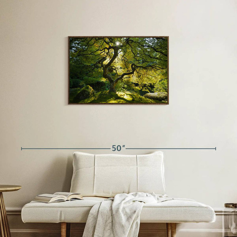 Jardin d'érable japonais, Cadre flottant en noyer, 31 po x 21 po