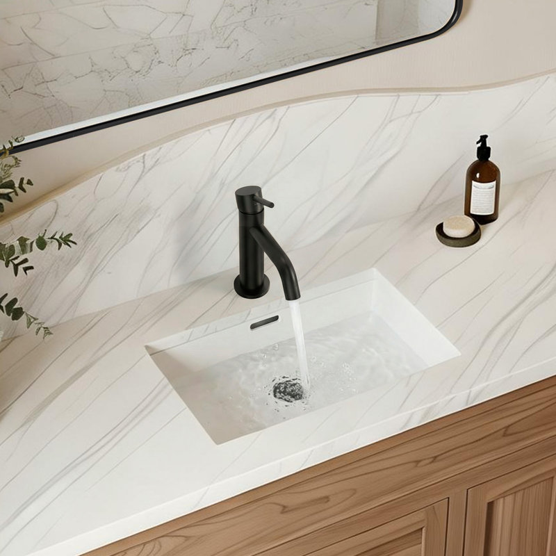EVERSTEIN Basin Mixer Tap with Pop-Up Waste, Matte Black