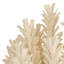 Kaia Small Chandelier