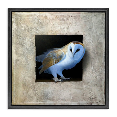 Hibou mystérieux peering