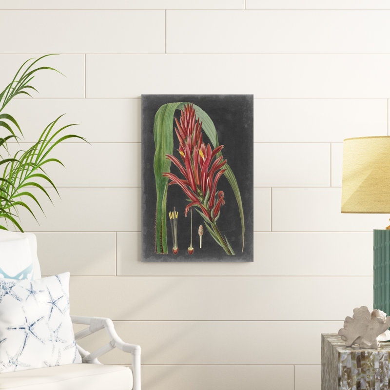 Dramatic Tropicals II, H 30 po x l 20 po x P 1,25 po