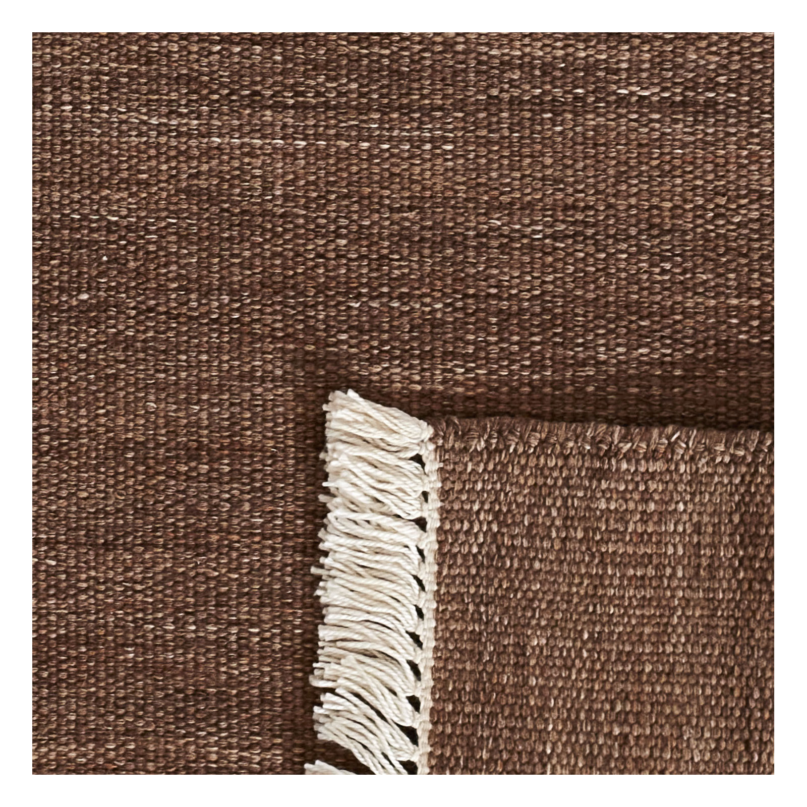 Cassandra Hand Woven Modern Indoor Outdoor Brown Rug, Rectangle 9' x 12'
