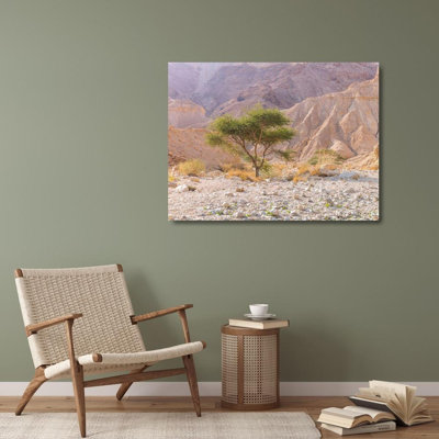 Millwood Pines Frank, Assaf Gallery Wrapped Canvas Art Titled: Negev Desert, Israel AF20151223-330