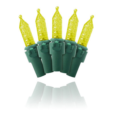 Aicha LED 276" 70-Light Mini String Light