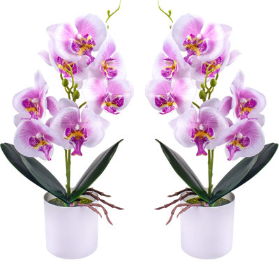 Arrangement in Vase
