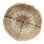 Silk Oriental Area Rug in Ivory