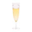 Isabella 7 oz. Acrylic Flute