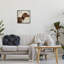 Portrait d'un chien pointeur regardant, Keri Rodgers-69574675-69574677