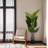 Elegant Faux Palm Trees