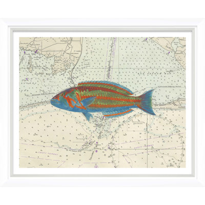 Vibrant Fish 2 Giclee Print