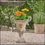 DELPHINE URN