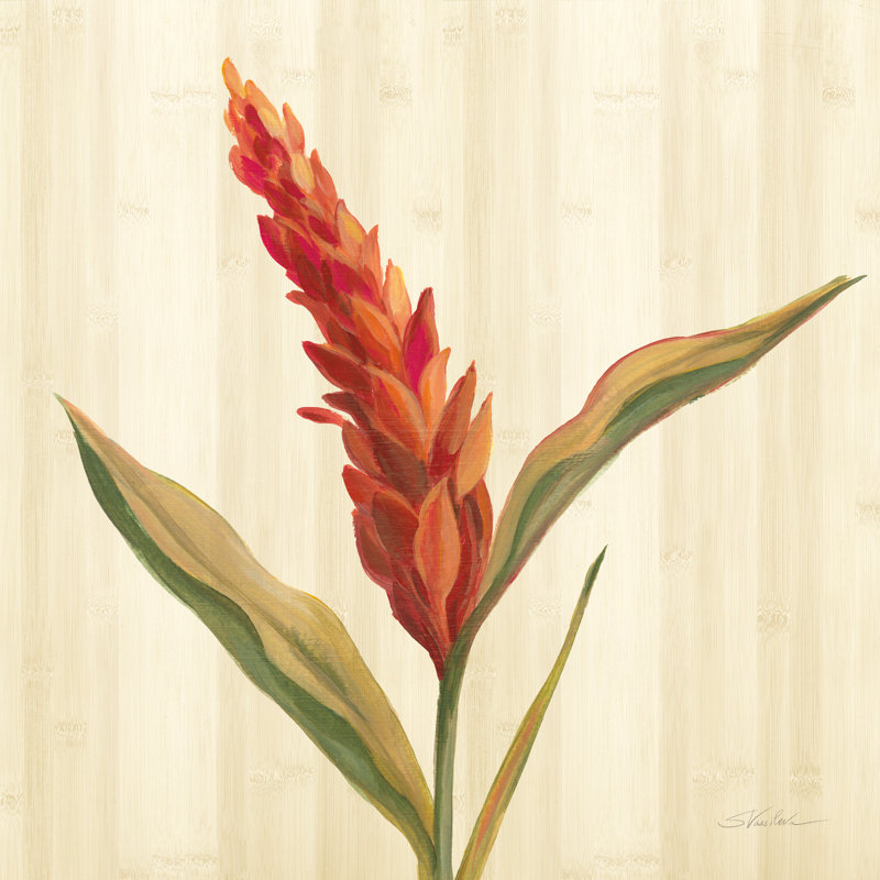 Tropical Garden II by Silvia Vassileva - Wrapped Canvas Painting, 76cm H x 76cm W x 3.8cm D