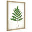 «Chalkboard Fern Green I» par Sue Schlabach - impression-65863634-65863633
