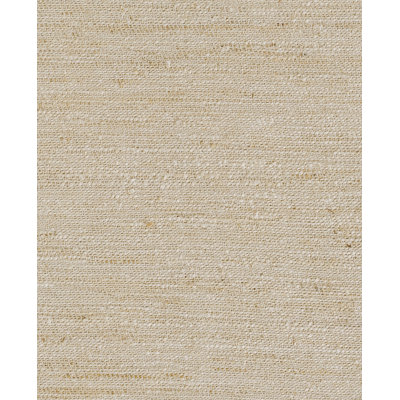 Indoor Rug