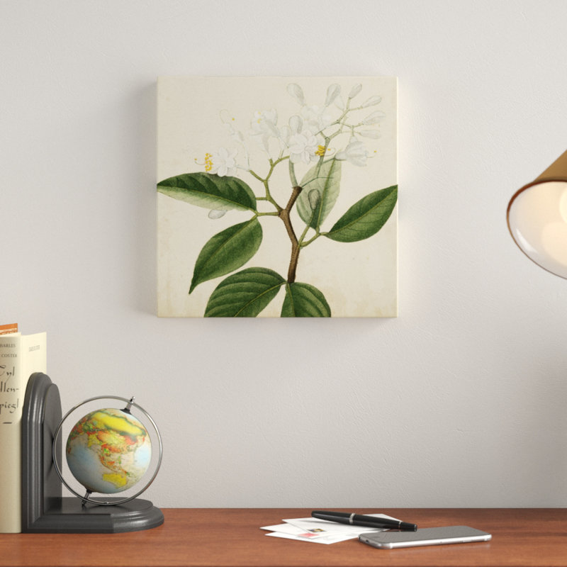 Garden Bounty VI - Wrapped Canvas Print, 30cm H x 30cm W