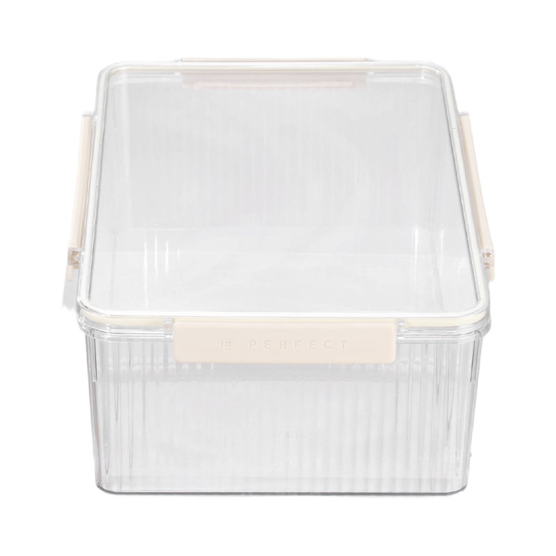 Rebrilliant Plastic Storage Tub & Tote