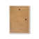 A Vase Of Flowers by Lang Shining - Single Picture Frame Painting