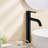 Vessel Sink Faucet Single Handle Bathroom Faucet-89022310