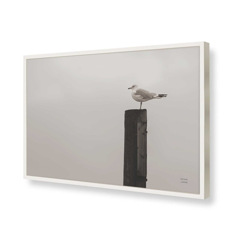 «Regarder la pluie tomber» par Nathan Larson, reproduction d'art, H 12 po x l 18 po, Blanc