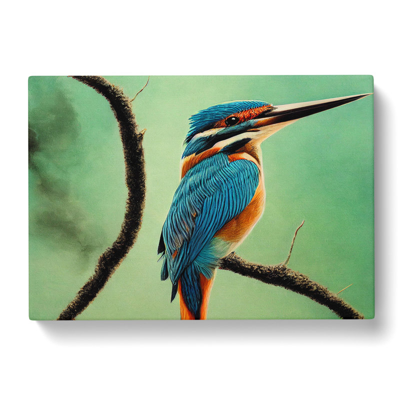 Enigmatic Kingfisher Bird - Wrapped Canvas, 40cm H x 60cm W x 3cm D