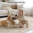 Washable 8'X10' Brown Area Rug - Non-Slip Stain Resistant Foldable Rug For Living Room Bedroom, Machine Washable Rug-168566985-168567017
