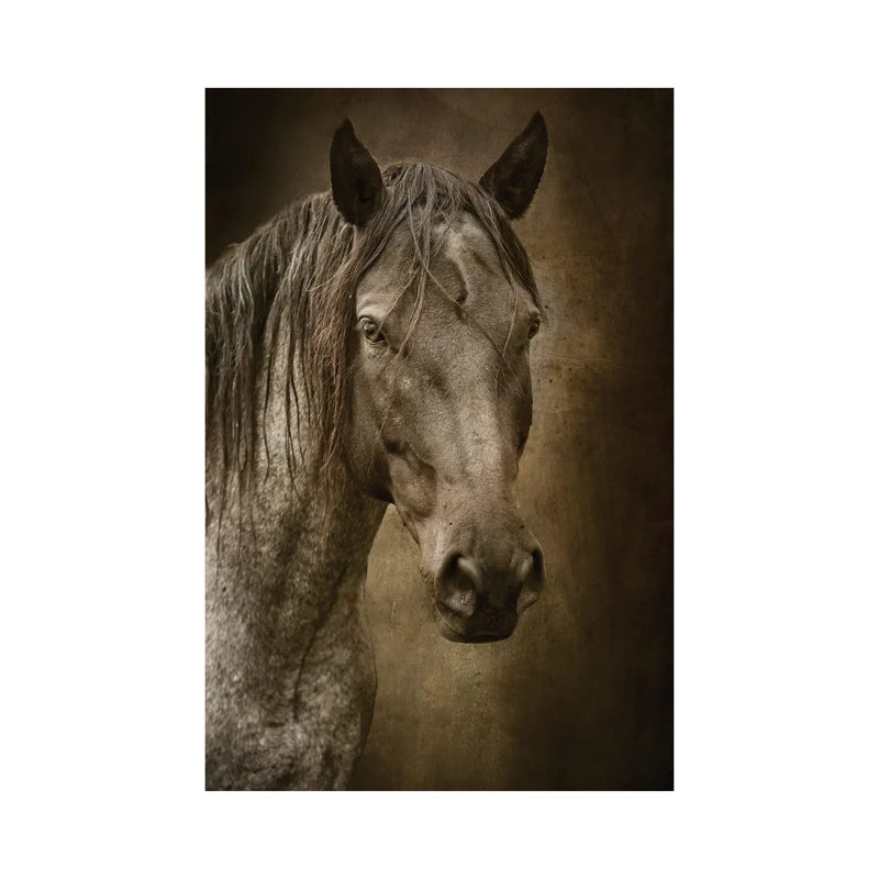 Black Horse 1 Piece Wrapped Canvas Wall Art