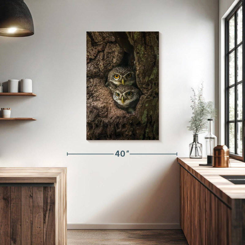 Brampt Twin Baby Owls, 39" H x 26" W