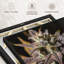 "Marijuana en hiver", impression florale et botanique-101456848
