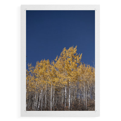 Ambre dans la forêt - impression sur toile seulement - non encadrée
