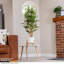 90cm Bamboo Tree in Pot