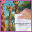 Édredon Group of Giraffes-126737187