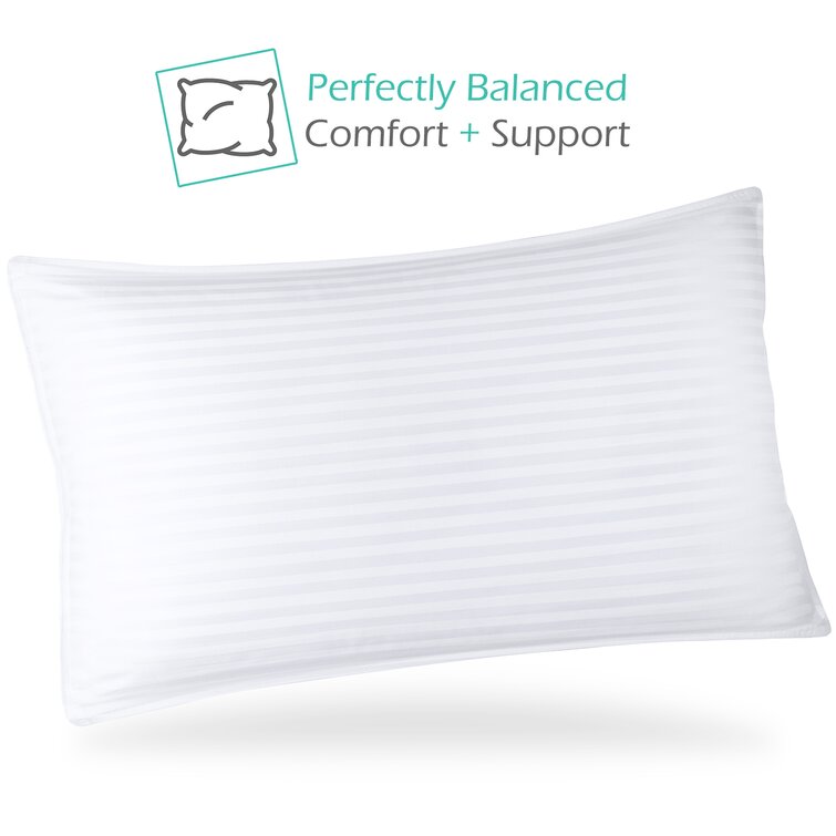 Alwyn Home Ingrid Customizable Fiber and Shredded Foam Medium Support  Pillow & Reviews