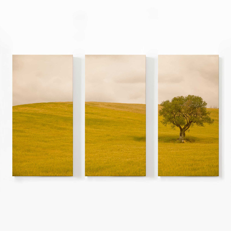 Tuscan Fields' Charm | 3 Panel Split Large Canvas Print, 36" H x 54" W