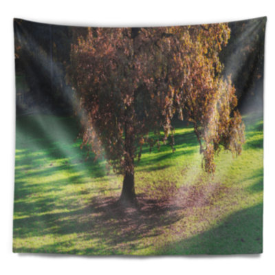 Paysage avec une tapisserie d'arbre d'automne solitaire