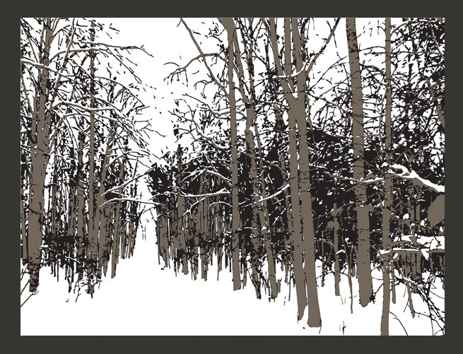 Autumn Trees 309cm x 400cm Wallpaper, 400 cm x 309 cm