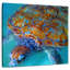 Tortue de mer Brampt Cayman-109388464