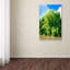 «Weeping Willow» par Philippe Sainte-Laudy, reproduction de photo sur toile tendue-13314014