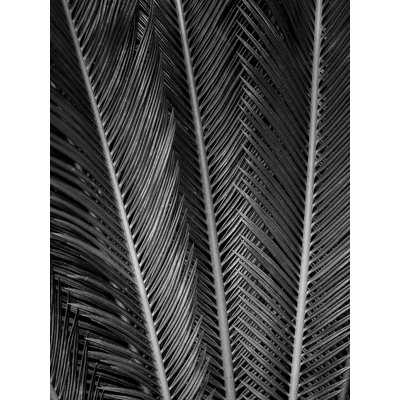 Print
