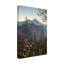«Hummingbirds» par Fazulla, impression sur toile tendue-27485943